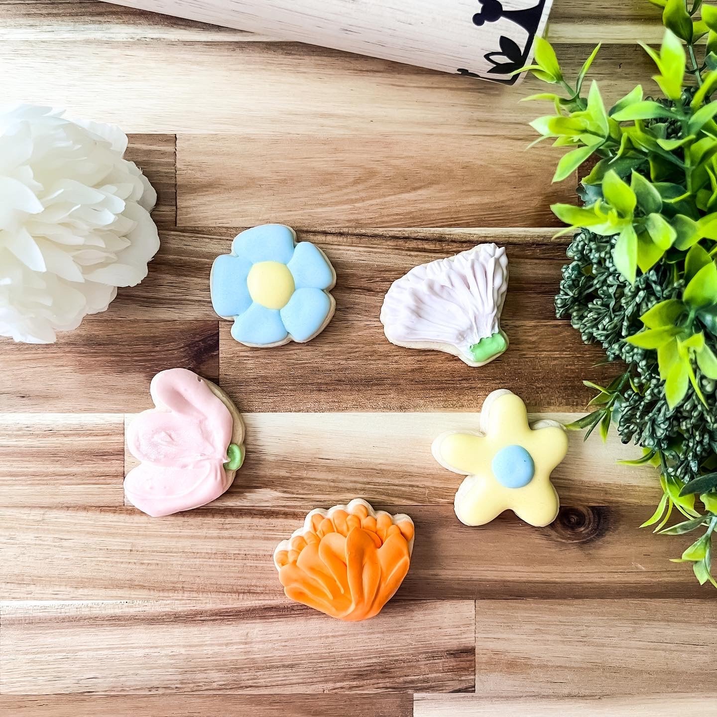 Spring Flowers Set of 5 Cookie Cutter - Periwinkles Cutters